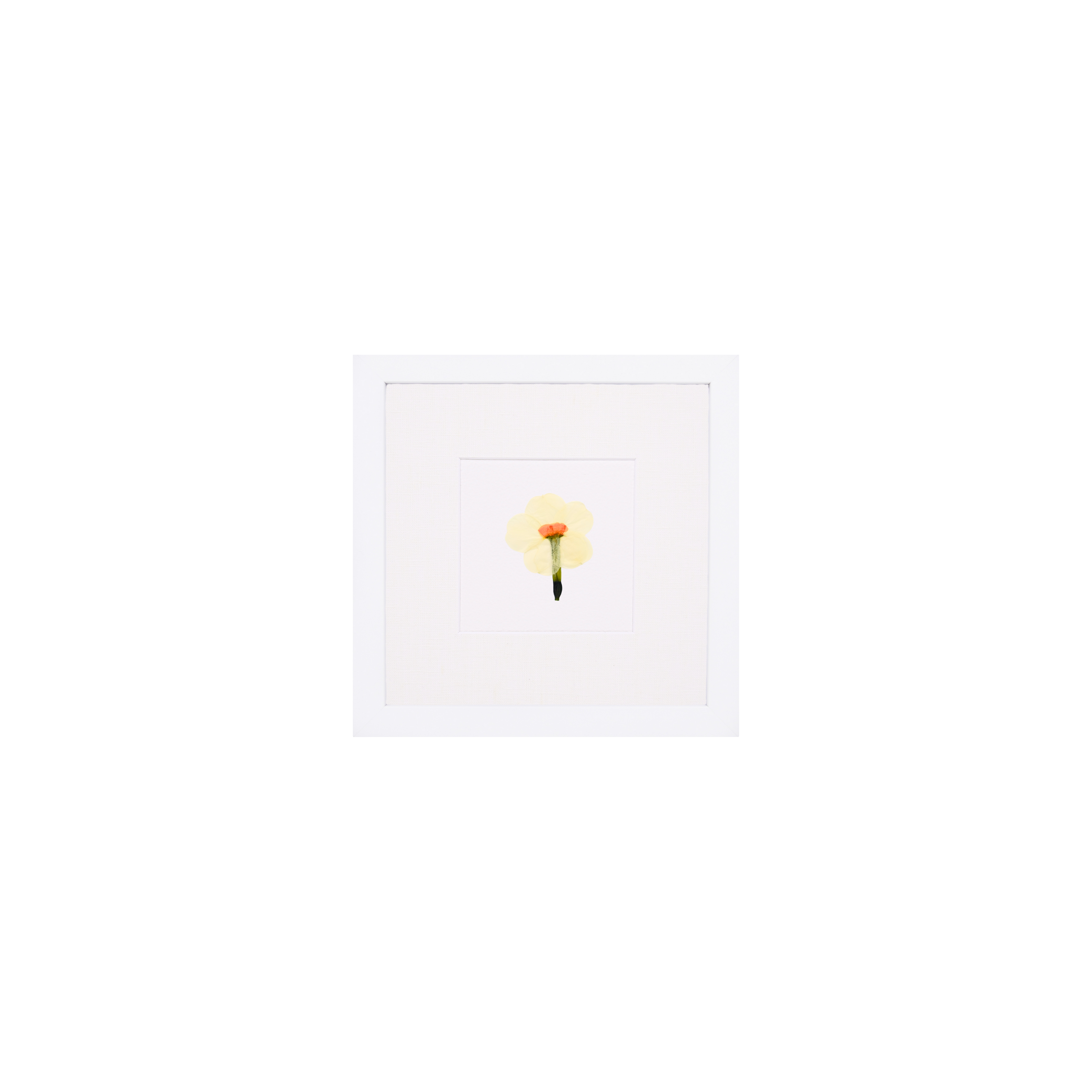 Month:March;Color:Solid White;